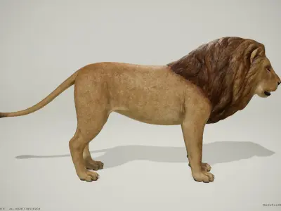 3D Lion and Lioness - Game Ready PBR Low-poly 3D model