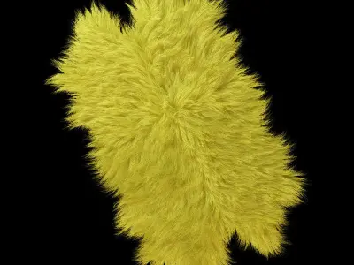 Skin longhair 3D model