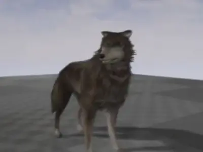 Wolf Rigged Low-poly and Game-Ready  Low-poly 3D model