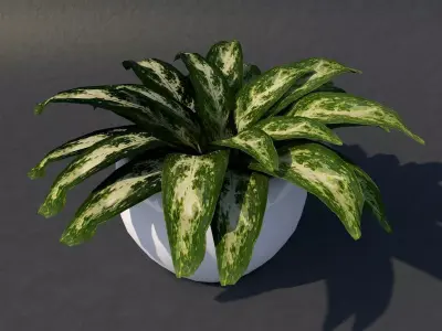 Low Poly UV Mapped Plant Free low-poly 3D model