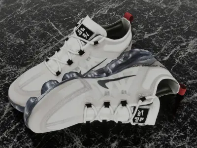 NIKE AIR VAPOR MAX MOON 3D SHOES Low-poly 3D model