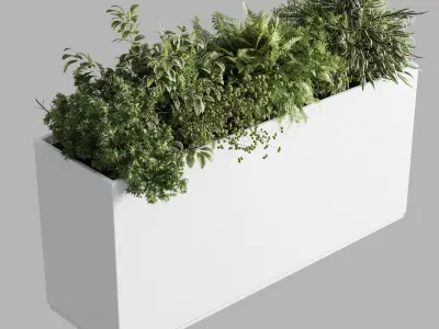 plastic box plants on stand - set indoor plant 389 Low-poly 3D model