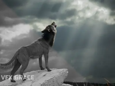 Wolf  UE Character Asset 3D model