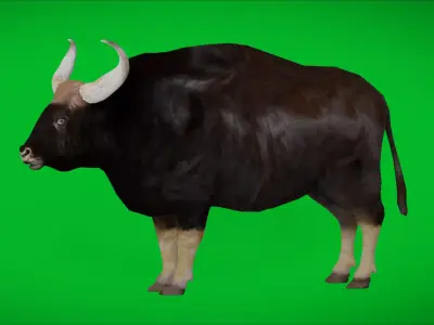 Gaur Indian Bison Low-poly 3D model