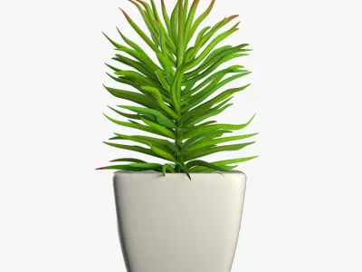 Pot Plant 12 3D model