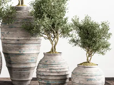 indoor plant stant 45 Low-poly 3D model