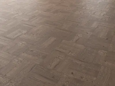 Parquet Oak Missisippi Wild Wood set 3 3D model