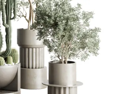 collection indoor plant and cactus 237 concrete dirt vase 3D model