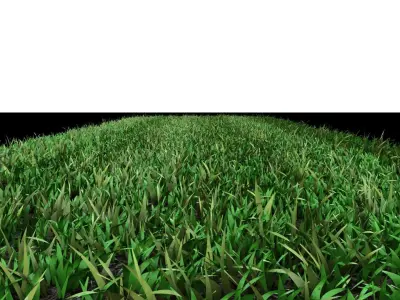 Lawn Grass Free 3D model