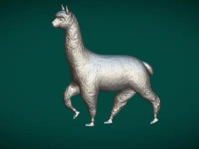 Alpaca Animal Low-poly 3D model