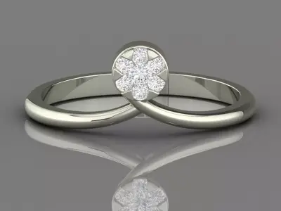 PRESSURE SETTING RING 20 3D print model