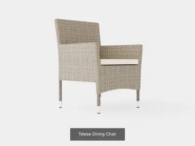 Collection of Dining Chair - 4 Models