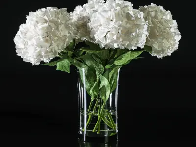 Hydrangea set 002 3D model