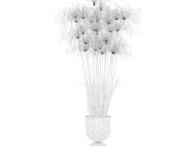 Cyperus nofretete in modern flower pot 3D model