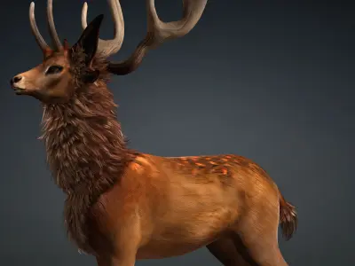 Deer-B2 3D model