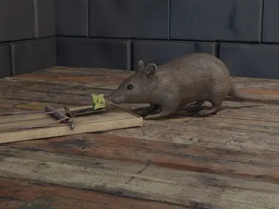 Mouse rat Plus Mousetrap Low-poly 3D model