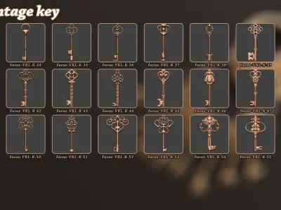 80 Vintage Key and Lock 3D Model   Alpha   Brush 3D model