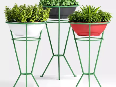 Decorative plant set-21 3D model