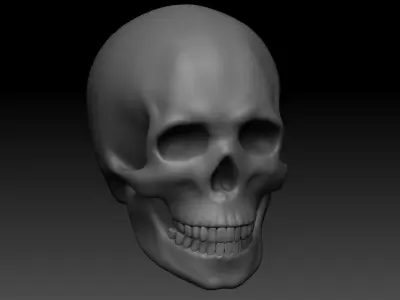 3D Printable American Football Helmet Skull Bubble Head 3D print model