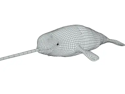 Narwhal Low-poly 3D model