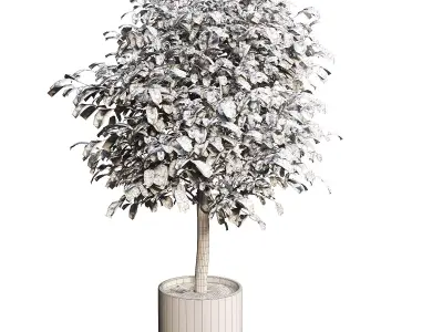 LIMON DECOR 01 3D model