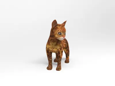 3D Cat Rigged and  Animated model  Low-poly 3D model