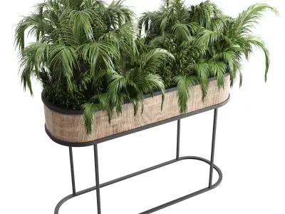 collection Indoor plant palm 40-bax wood vase Low-poly 3D model