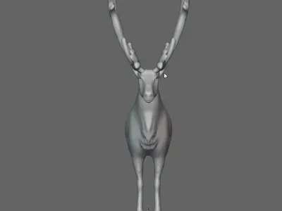 Reindeer with nice Antlers 3D model