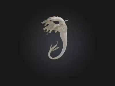 Hydra Low-poly 3D model