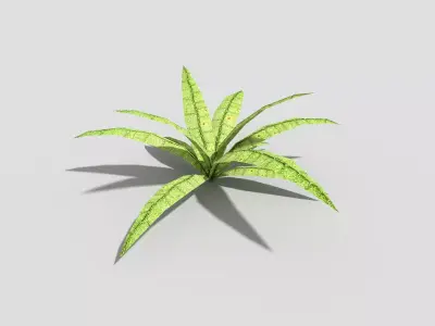Low poly Plant Low-poly 3D model