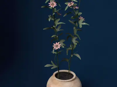 XfrogPlants Passion Flower 3D model