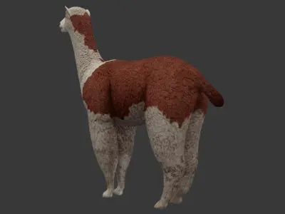 Alpaca llama Low-poly 3D model