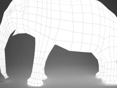 ELEPHANT - BASE MODEL WITH SKELETON 3D model