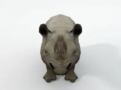 Rhino rhinoceros Low-poly 3D model