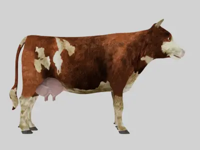 Low Poly Holstein Cow Unwapped 4K And High Poly Game Ready Low-poly 3D model