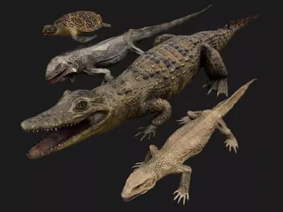 Reptile Pack Crocodile Iguana Turtle Varanus Low-poly 3D model