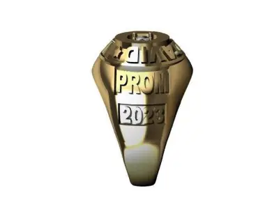 ANILLO DE GRADOS  3D print model