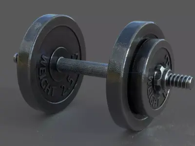 Dumbbell pair of dumbbells 3D model