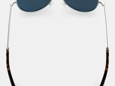 Raider Sunglasses in Polished Silver 3D model