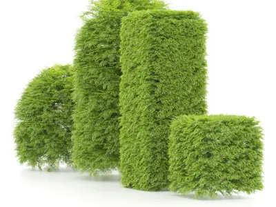shaped Bush plants V02 3D model