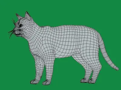 Balinese Thai Siamese Cat  Low-poly 3D model