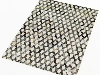 Restoration Hardware Link Cowhide Rug 3D model