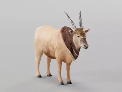 Greater Eland Antelope Low-poly 3D model