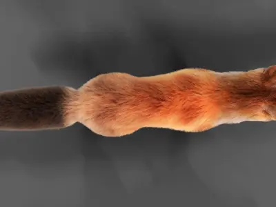 Fur Fox Rigged 01 Low-poly 3D model