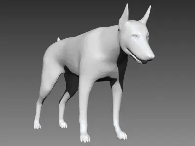 Doberman base mesh for Zbrush 3D model
