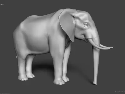 African Bush Elephant 3D model