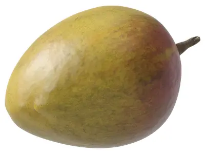 Mango fruit 3D Model Collection