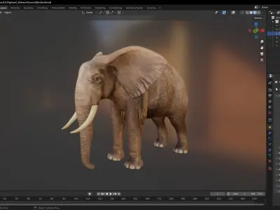 Elephant model Low-poly 3D model purchase