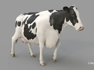 Cow PRO - Holstein 3D model