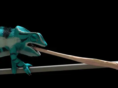 Panther Chameleon - Furcifer Pardalis 3D model